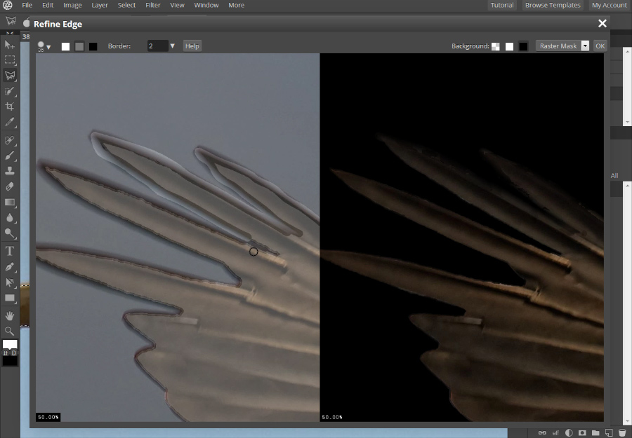 Remove The Background From A Photo In Pixlr Pro PIXLR Blog