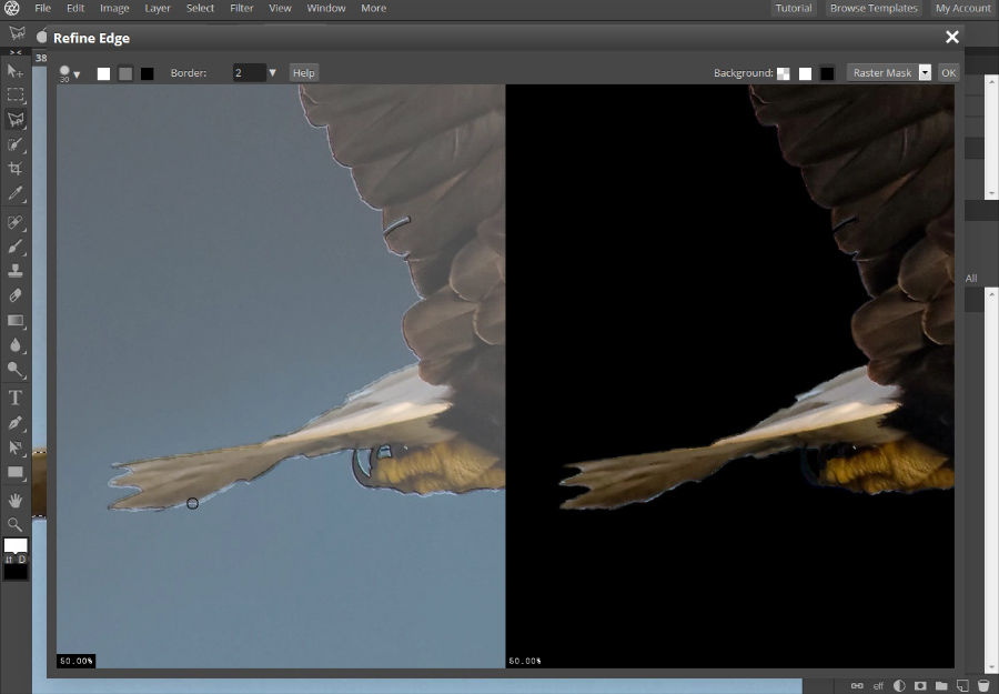 Remove The Background From A Photo In Pixlr Pro PIXLR Blog