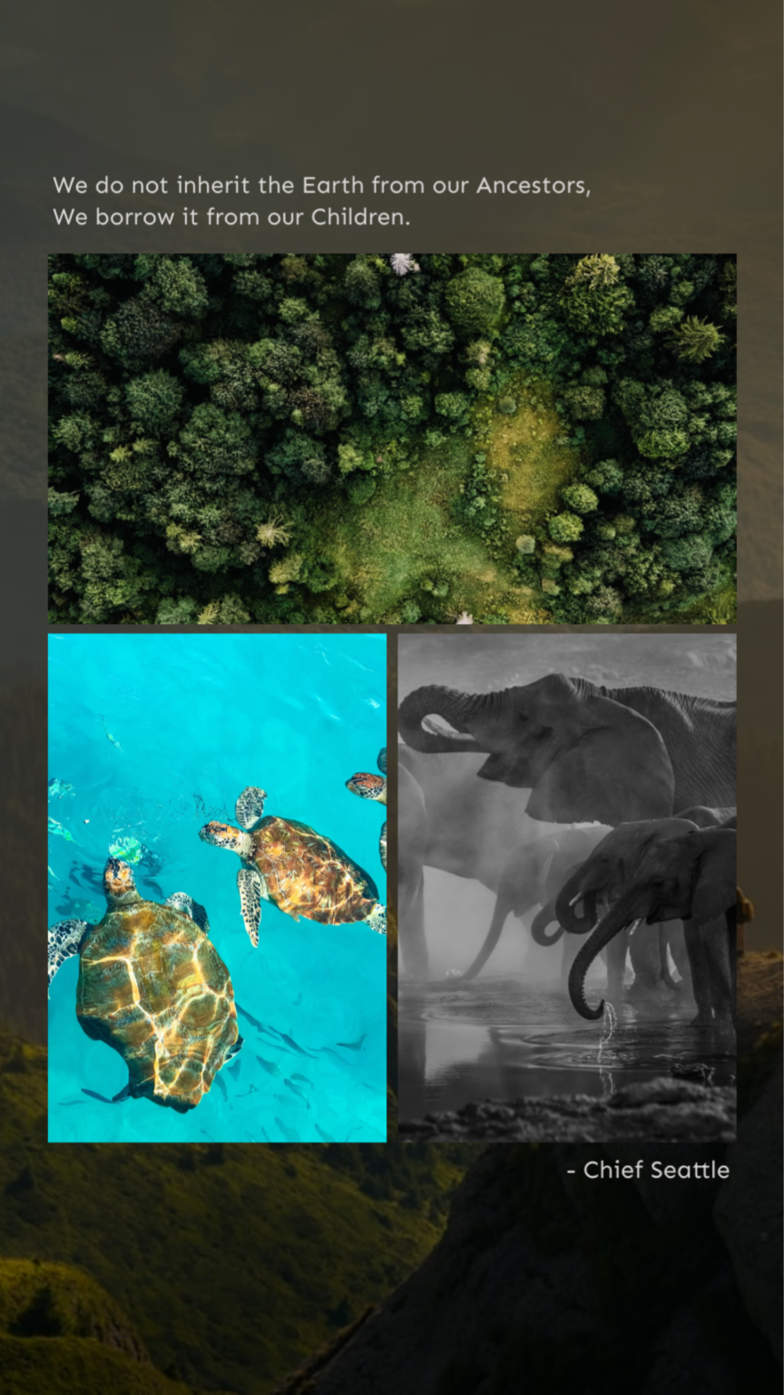 Design 5 Earth Day Quote Graphics For Your Instagram Stories – Pixlr Blog
