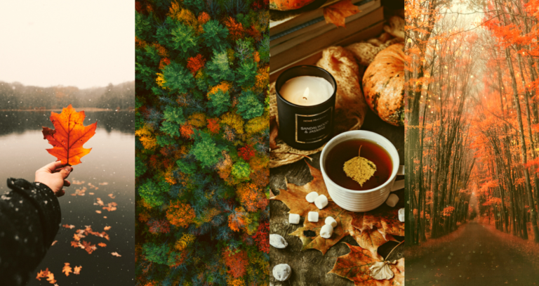 Creative Photography Ideas to Try This Season - Pixlr Blog