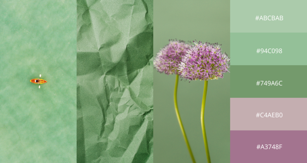 The Art of Color Correction: Expert Tips from Pixlr Masters - Pixlr Blog