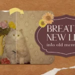 Breathe new life into old memories, vintage photo restoration with Pixlr