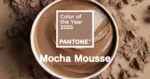 A paint can with creamy brown color with text "Pantone Color of the Year 2025 Mocha Mousse".