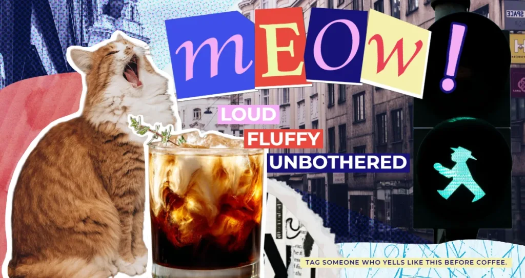 Collage-style graphic of a yawning cat, an iced coffee, and city imagery with cutout "mEOw!" lettering and the caption "Loud, Fluffy, Unbothered"