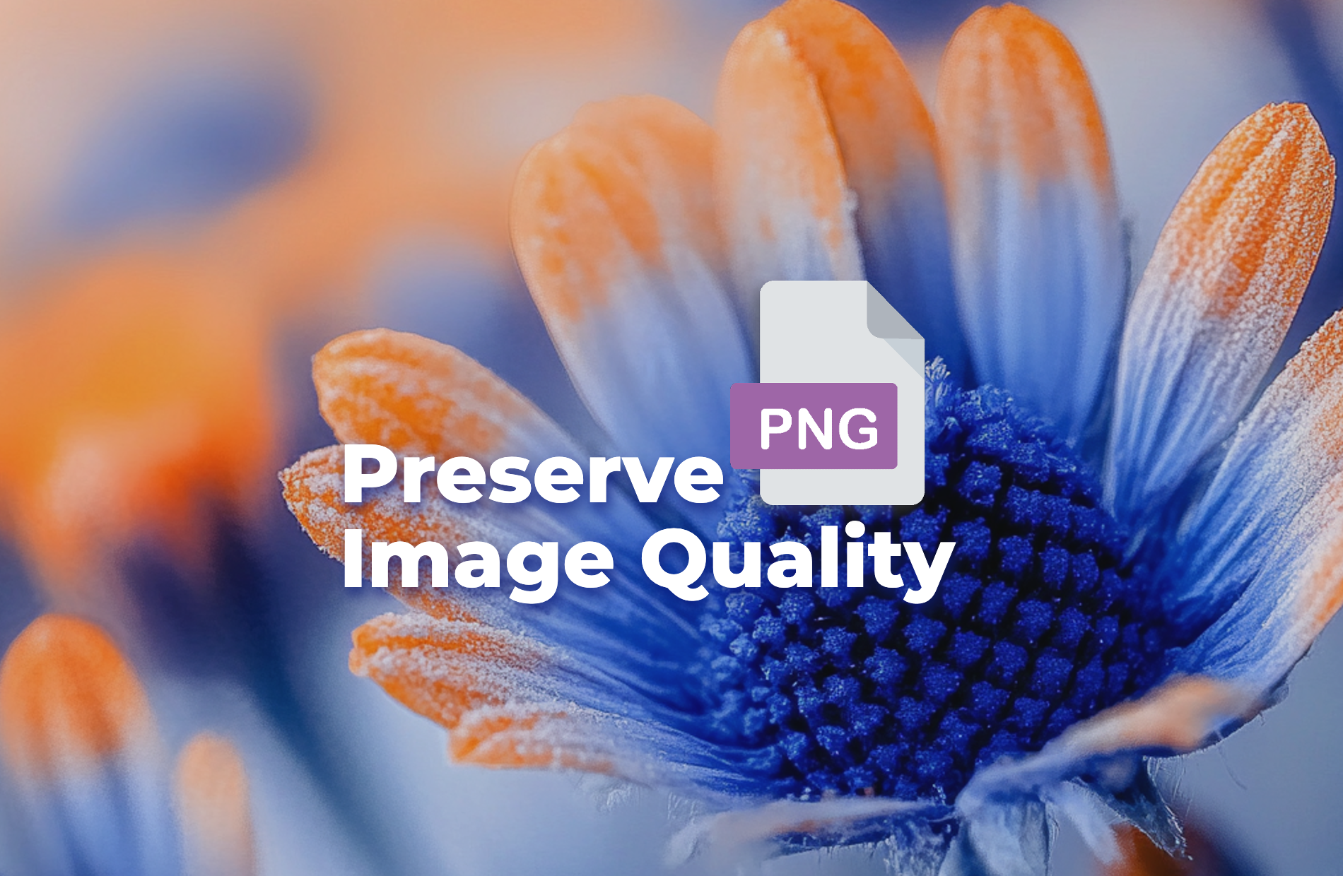 Convert PDFs To PNG Without Losing Any Quality 