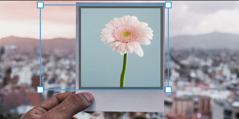 Pixlr E Frames image holders 